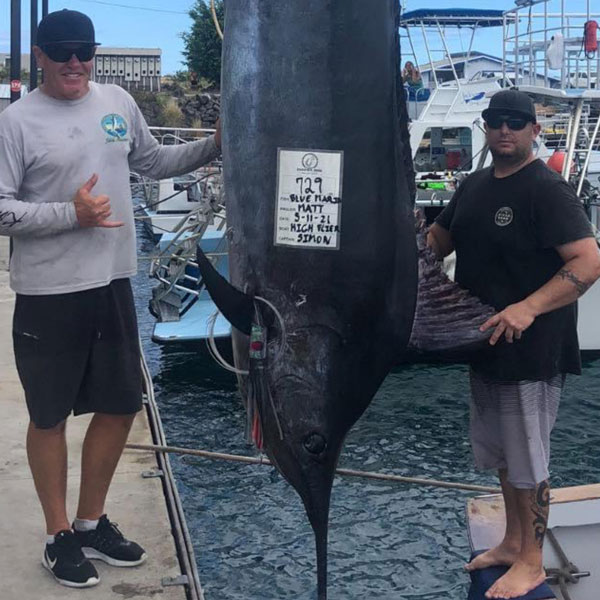 Huge 729lb blue marlin caught on high flier